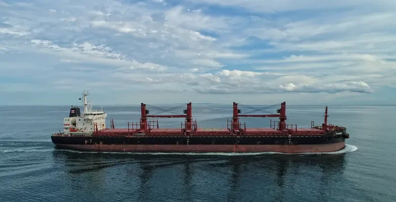 FUNING Bulk Carrier IMO 9690913 photo 9