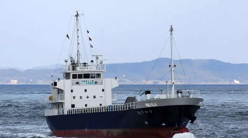 HIKARI MARU General Cargo IMO 9691022 photo 5