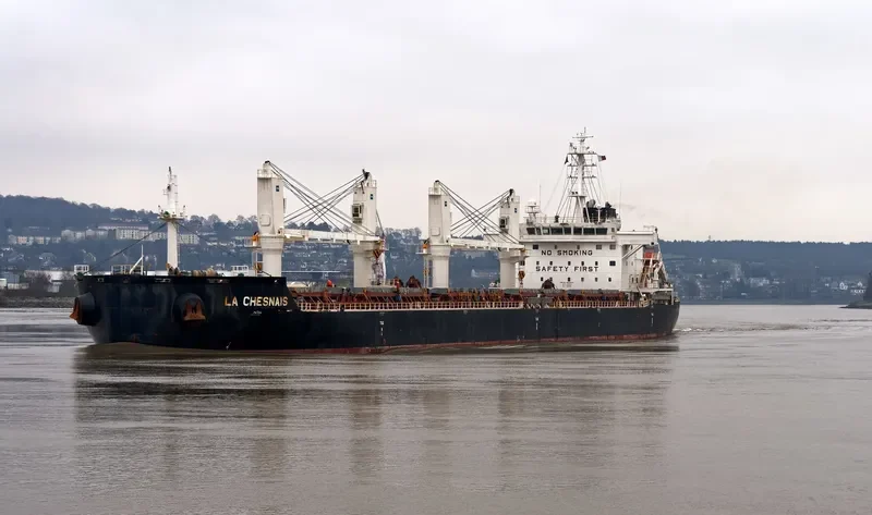 LA CHESNAIS Bulk Carrier IMO 9691034