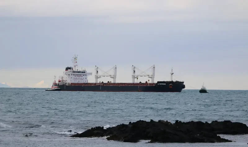 LA PARTENAIS Bulk Carrier IMO 9691046
