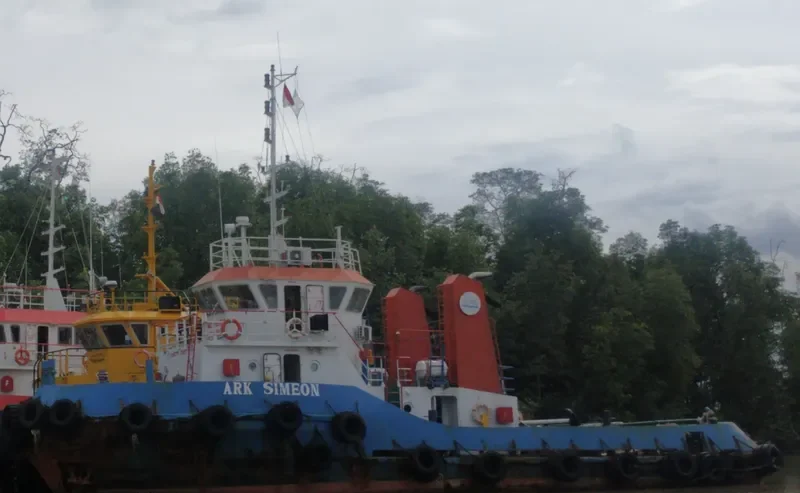 ARK SIMEON General Cargo IMO 9691096