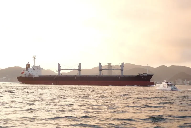 SUNRISE BRIGHT Bulk Carrier IMO 9691149