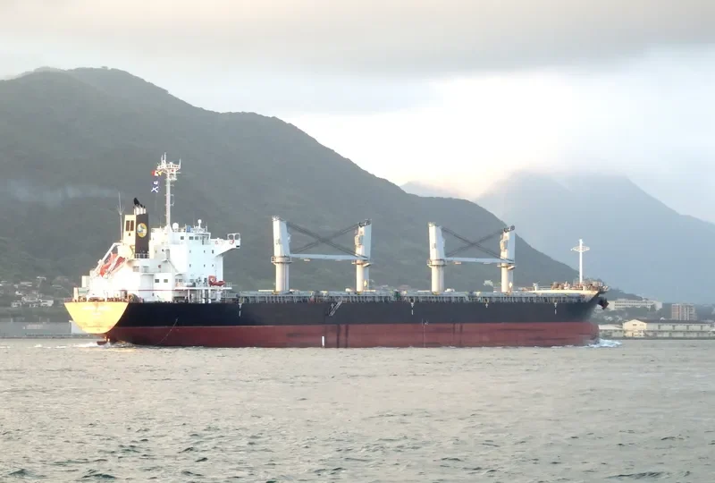 SUNRISE BRIGHT Bulk Carrier IMO 9691149 photo 2