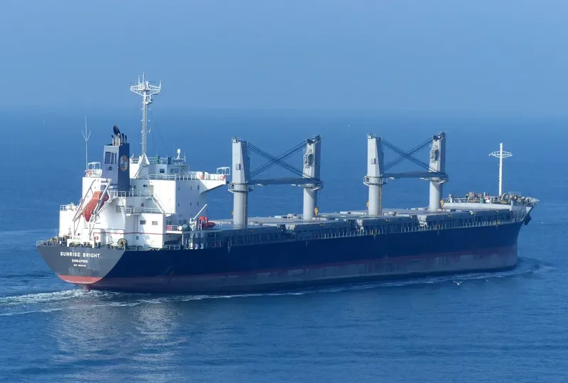 SUNRISE BRIGHT Bulk Carrier IMO 9691149 photo 3