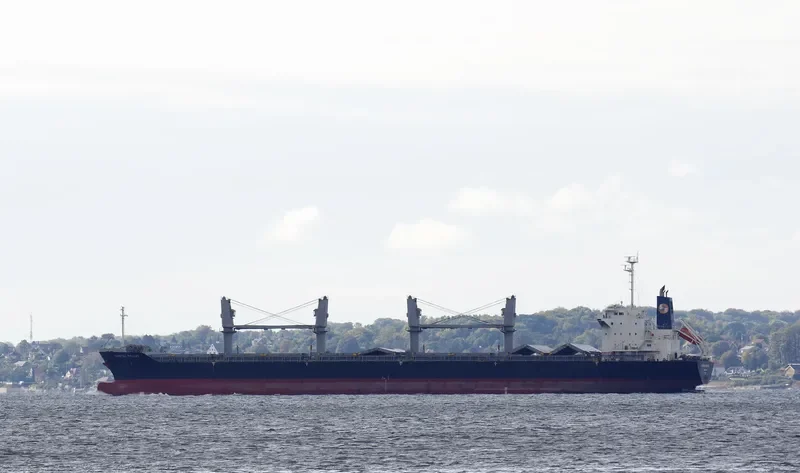 SUNRISE BRIGHT Bulk Carrier IMO 9691149 photo 4