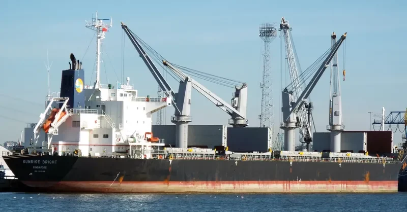 SUNRISE BRIGHT Bulk Carrier IMO 9691149 photo 5
