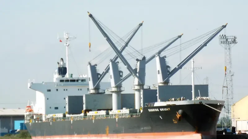 SUNRISE BRIGHT Bulk Carrier IMO 9691149 photo 6