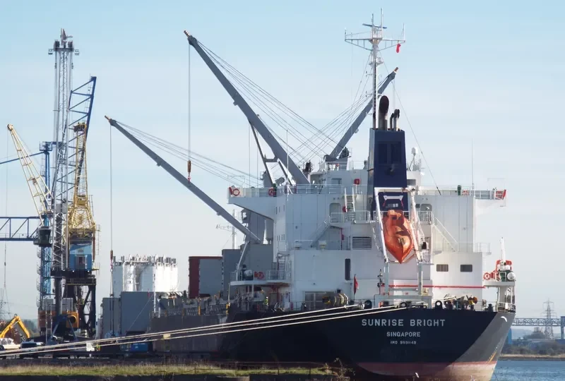 SUNRISE BRIGHT Bulk Carrier IMO 9691149 photo 7