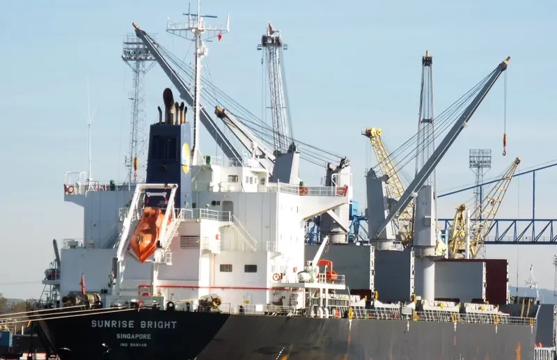 SUNRISE BRIGHT Bulk Carrier IMO 9691149 photo 8