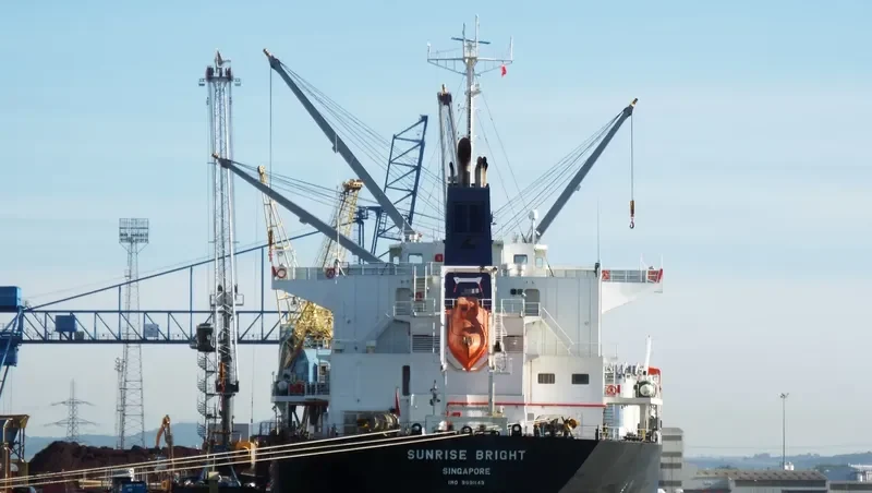 SUNRISE BRIGHT Bulk Carrier IMO 9691149 photo 9