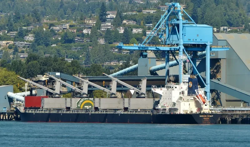 SUNRISE BRIGHT Bulk Carrier IMO 9691149 photo 10