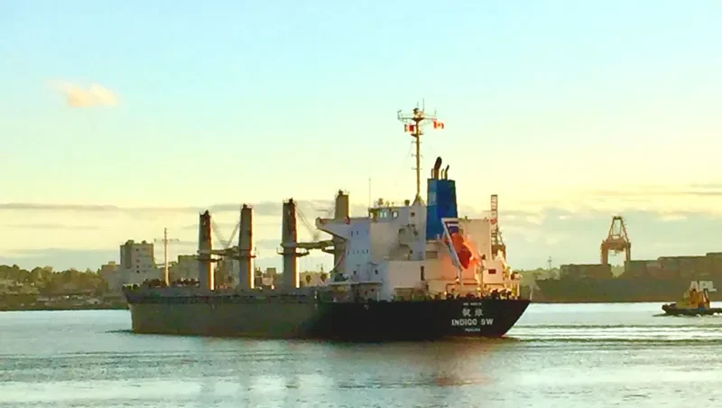INDIGO SW Bulk Carrier IMO 9691151