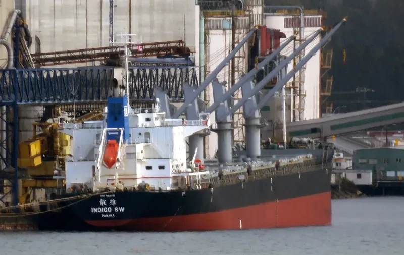 INDIGO SW Bulk Carrier IMO 9691151 photo 2