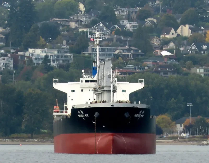 INDIGO SW Bulk Carrier IMO 9691151 photo 3