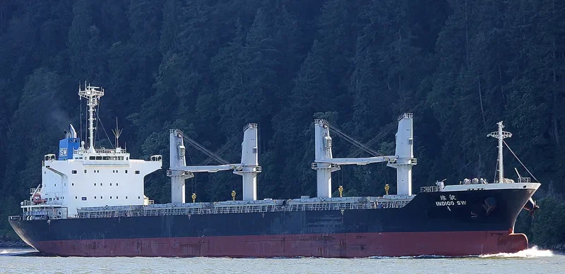 INDIGO SW Bulk Carrier IMO 9691151 photo 4