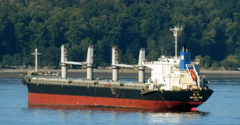 INDIGO SW Bulk Carrier IMO 9691151 photo 5
