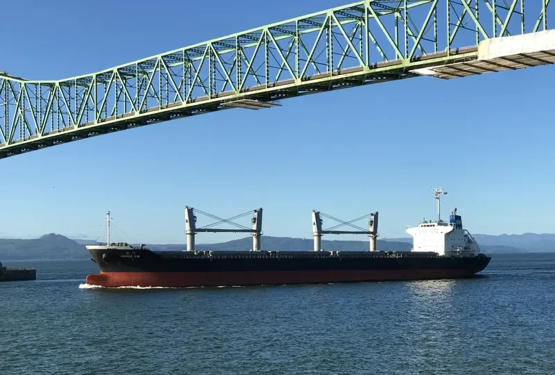 INDIGO SW Bulk Carrier IMO 9691151 photo 6