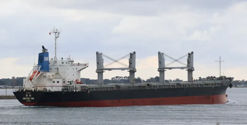 INDIGO SW Bulk Carrier IMO 9691151 photo 7