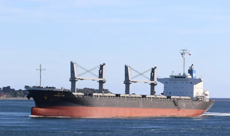 INDIGO SW Bulk Carrier IMO 9691151 photo 8