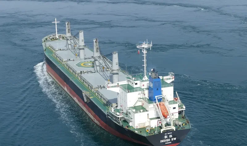 INDIGO SW Bulk Carrier IMO 9691151 photo 9