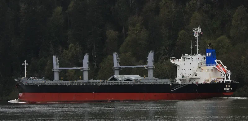 INDIGO SW Bulk Carrier IMO 9691151 photo 10