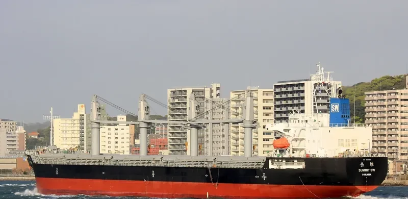 SUMMIT SW Bulk Carrier IMO 9691163 photo 2
