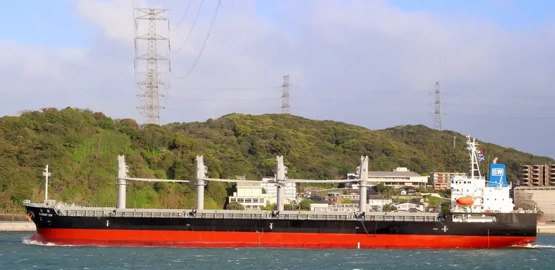 SUMMIT SW Bulk Carrier IMO 9691163 photo 3