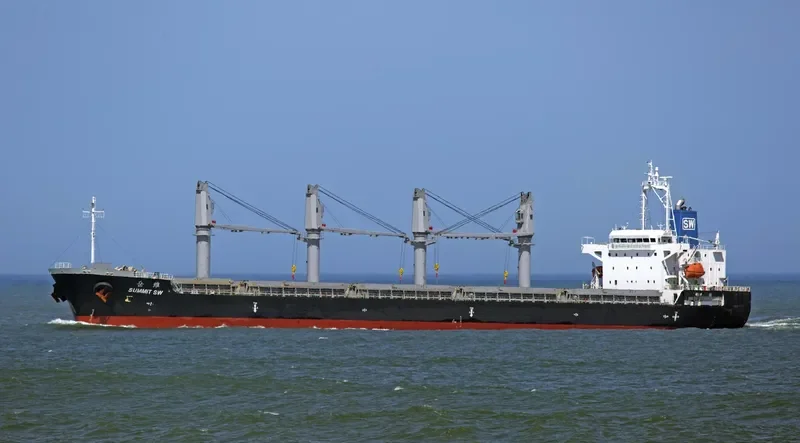 SUMMIT SW Bulk Carrier IMO 9691163 photo 8
