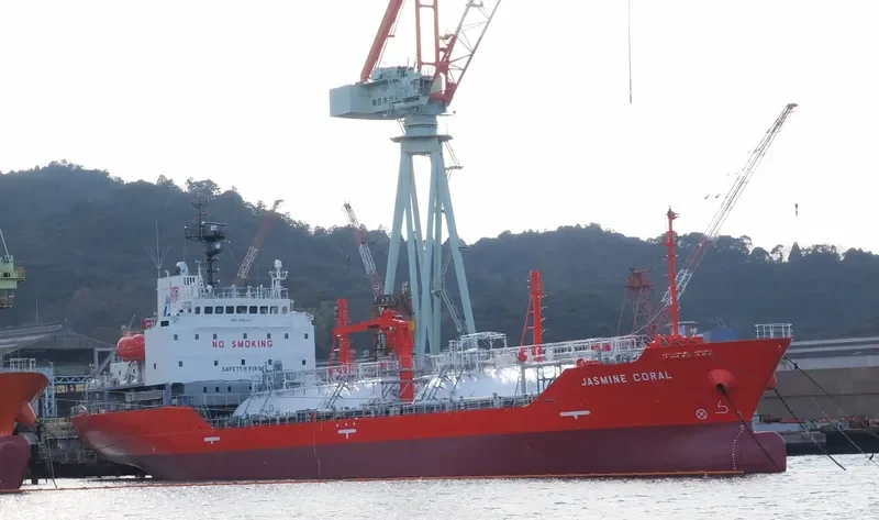JASMINE CORAL General Cargo IMO 9691319 photo 2