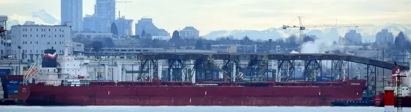 PS FRAMURA Bulk Carrier IMO 9691395 photo 3