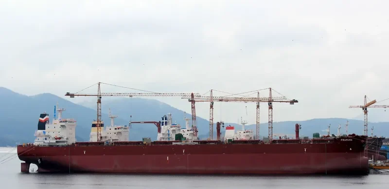 PS FRAMURA Bulk Carrier IMO 9691395 photo 7