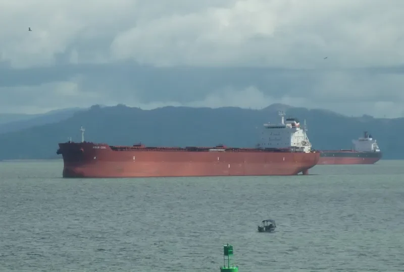 FOUR COAL Bulk Carrier IMO 9691400
