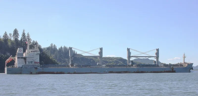 HANTON TRADER I Bulk Carrier IMO 9691412 photo 3