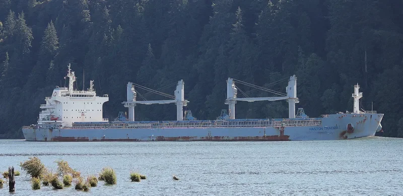 HANTON TRADER I Bulk Carrier IMO 9691412 photo 4