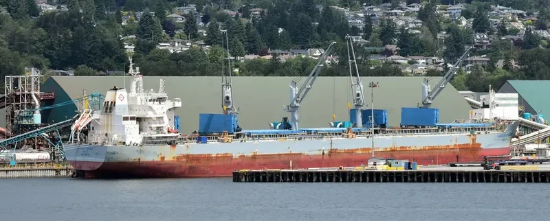 HANTON TRADER I Bulk Carrier IMO 9691412 photo 5