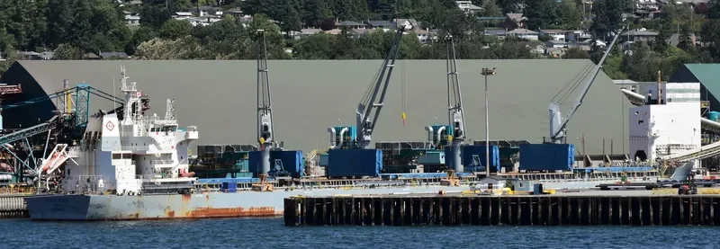 HANTON TRADER I Bulk Carrier IMO 9691412 photo 6