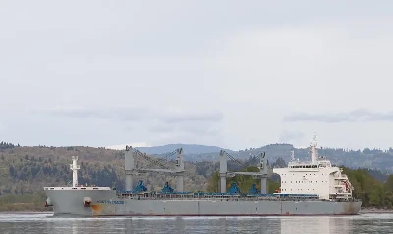 HANTON TRADER II Bulk Carrier IMO 9691424 photo 3