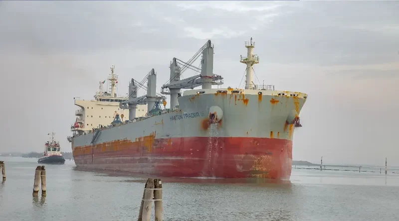 HANTON TRADER III Bulk Carrier IMO 9691436 photo 4