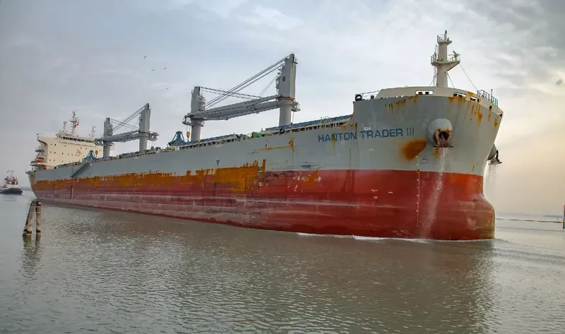 HANTON TRADER III Bulk Carrier IMO 9691436 photo 6