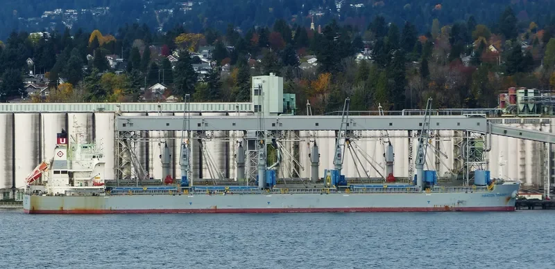 HANTON TRADER III Bulk Carrier IMO 9691436 photo 10