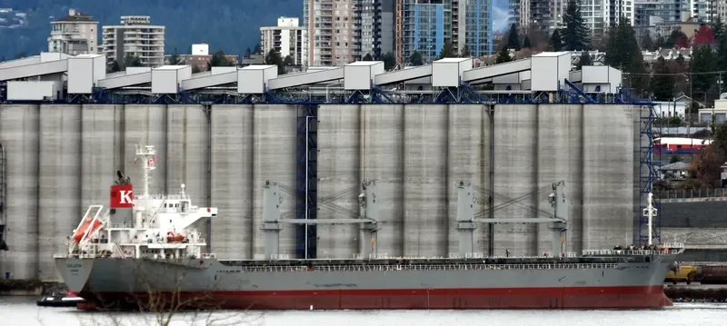 GALLEON Bulk Carrier IMO 9691486
