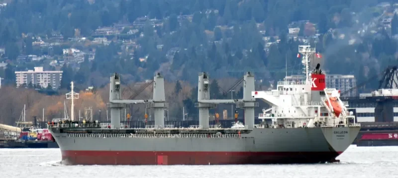 GALLEON Bulk Carrier IMO 9691486 photo 2