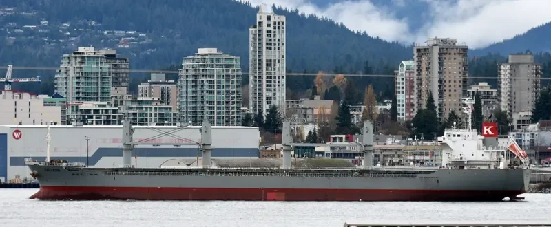 GALLEON Bulk Carrier IMO 9691486 photo 3