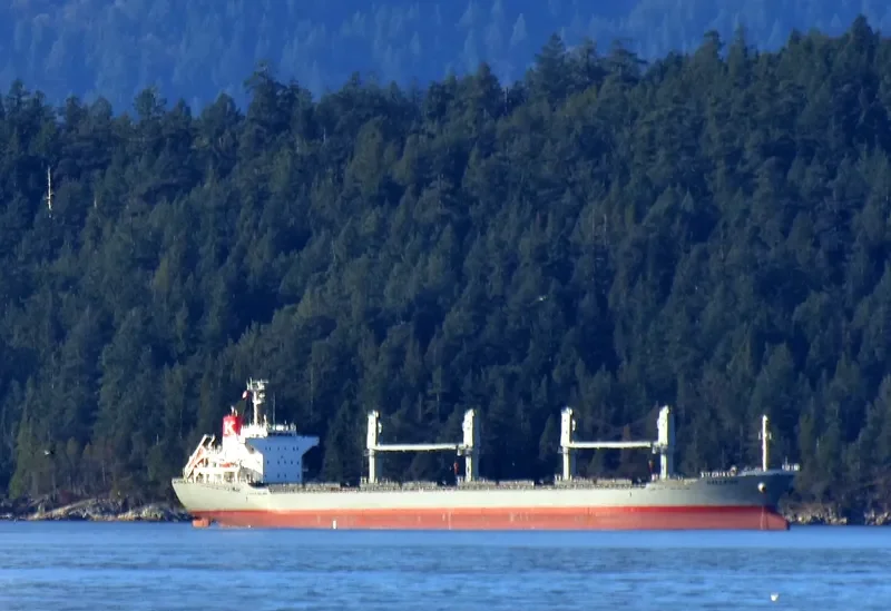 GALLEON Bulk Carrier IMO 9691486 photo 4