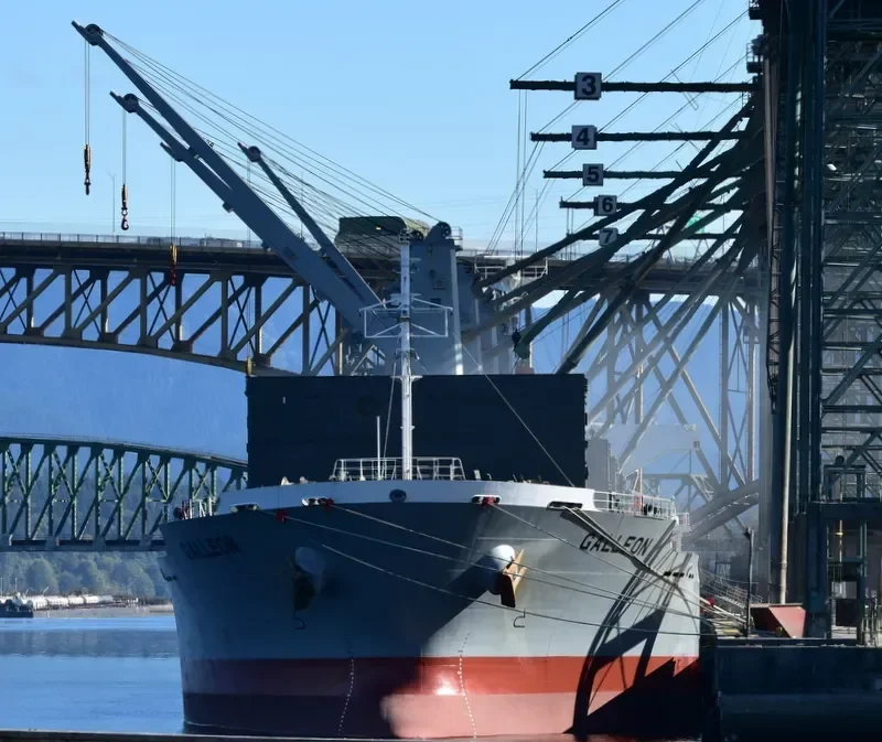 GALLEON Bulk Carrier IMO 9691486 photo 6