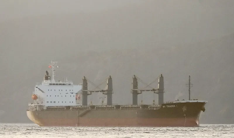 ST.PATRICK Bulk Carrier IMO 9691498