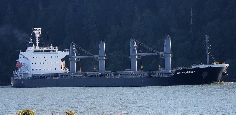 ST.PATRICK Bulk Carrier IMO 9691498 photo 2