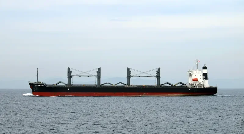 ST.PATRICK Bulk Carrier IMO 9691498 photo 3