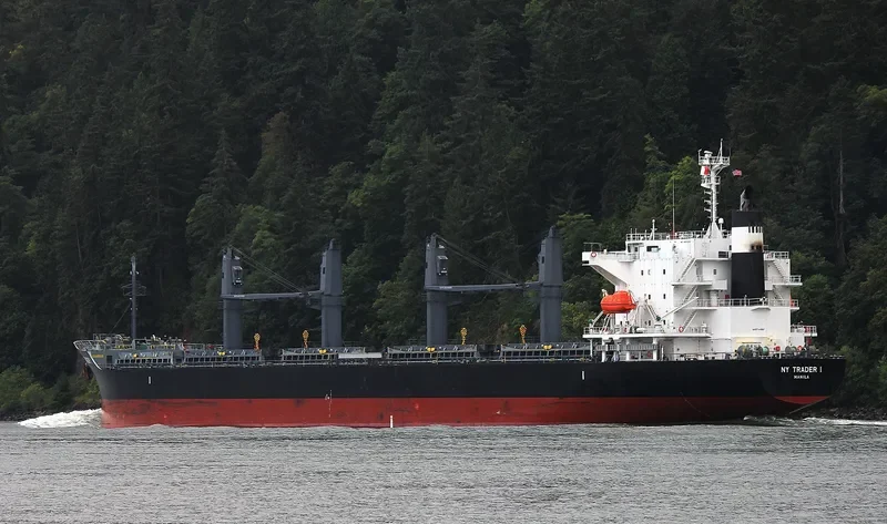 ST.PATRICK Bulk Carrier IMO 9691498 photo 5