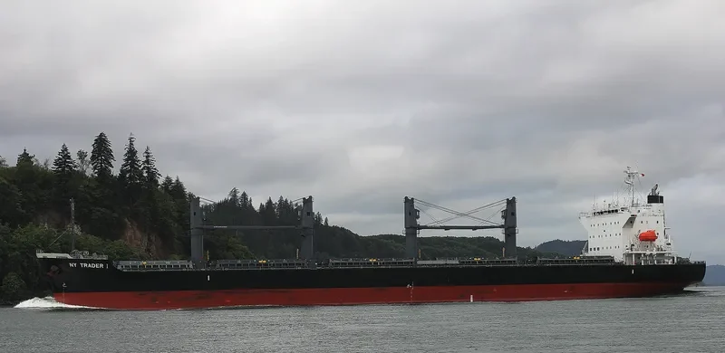 ST.PATRICK Bulk Carrier IMO 9691498 photo 6